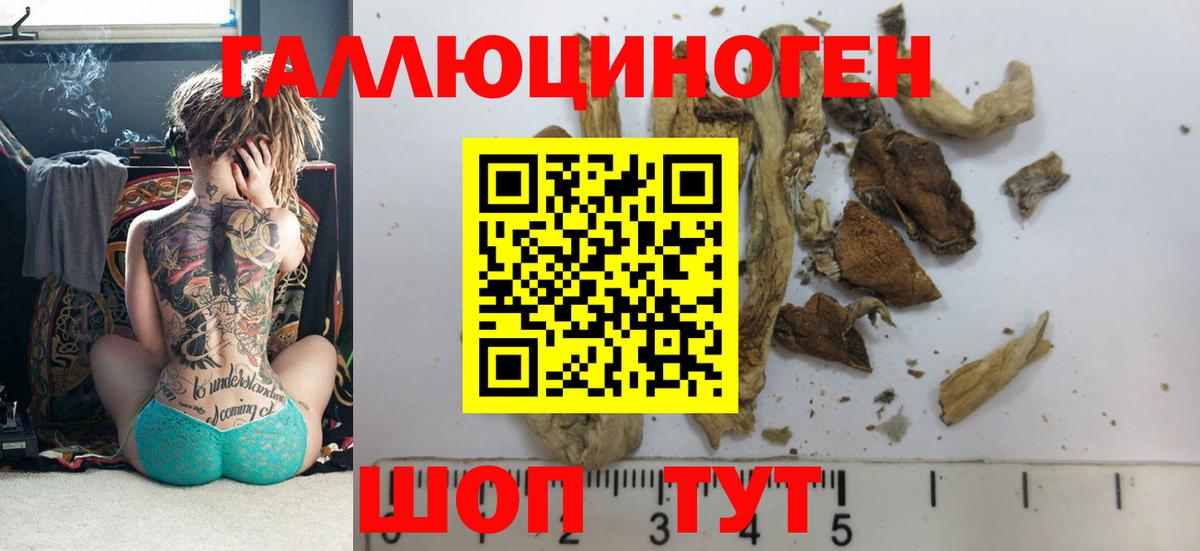 Астрахань  Галлюциногенные грибы мухоморы  Псилоцибиновые грибы Psilocybine cubensis  Вход с VPN 