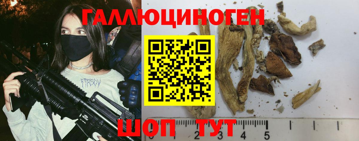Псилоцибиновые грибы Cubensis Астрахань